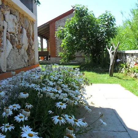 In Privlaka Mit Terrasse Und Garten アパート プリヴラカ